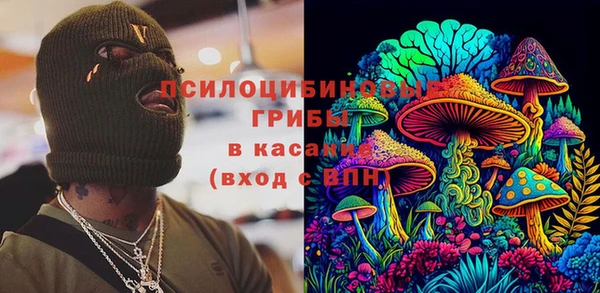 твердый Белокуриха