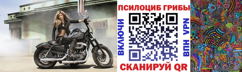 Псилоцибиновые грибы Psilocybe  Белгород 